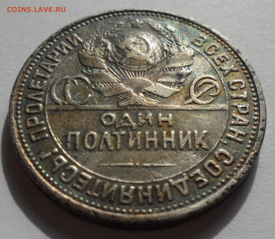 ПОЛТИННИК 1924 г слабенький до 28.07 - SAM_0434.JPG