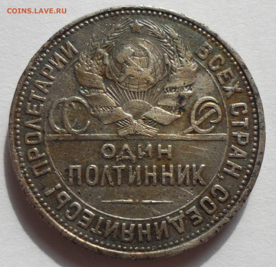 ПОЛТИННИК 1924 г слабенький до 28.07 - SAM_0433.JPG