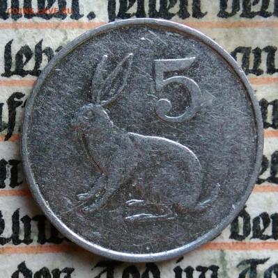 Зимбабве 5 центов 1999 года до 28.07.2025 - IMG_20250724_001430