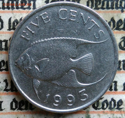 Бермуды 5 центов 1993 года до 28.07.2025 - IMG_20250724_004042