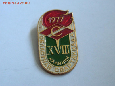 250 - DSCN9939_thumb