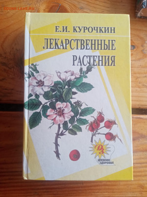Лекарственные растения до 30.07.25 в 22:00 по мск - IMG_20250724_134658