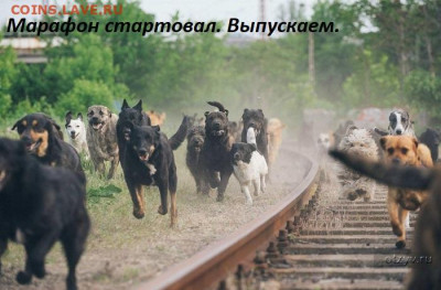 Ассоциация слов. - МФ
