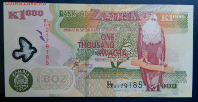 Замбия 1000 квача 2008 года до 28.07.2025 - IMG_20250714_005857