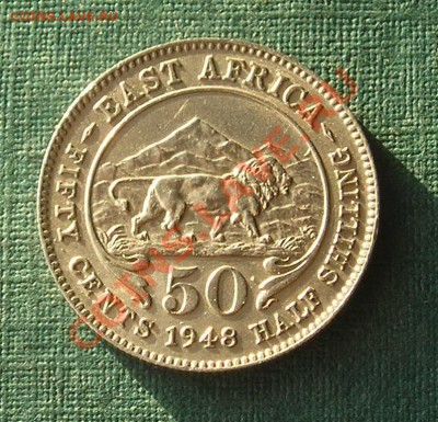 Британская Восточная Африка , Пол Шиллинга 1948 (18.02) - P1010092