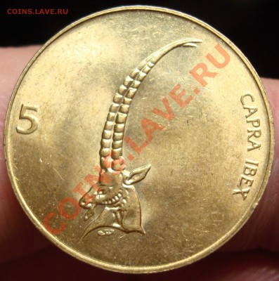 Словения 5 толаров 2000 г. с супер козлом UNC  22,02 в 22-30 - DSC03616.JPG