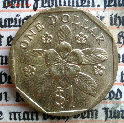 Сингапур 1 доллар 1990 года до 04.08.2025 - IMG_20250729_023127