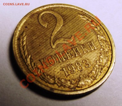 Несколько браков - DSCF1290.JPG