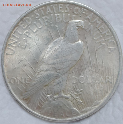 США 1 доллар Мирный 1923 до 2.08 - IMG_20250729_201141_646