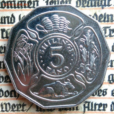 Танзания 5 шиллингов 1992 года до 04.08.2025 - IMG_20250730_234653