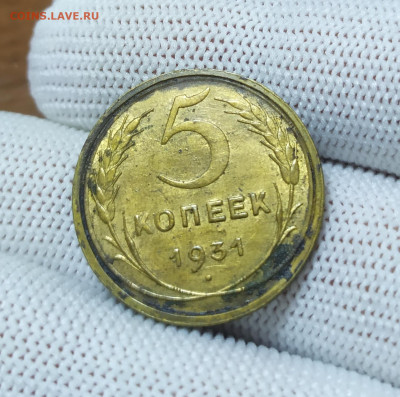 5 копеек 1931 год. - IMG_20250731_104908