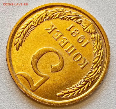 5 копеек 1981 года Штемпельный Блеск до 2.08 в 22.00 - 1753961359860