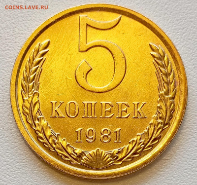 5 копеек 1981 года Штемпельный Блеск до 2.08 в 22.00 - 1753961271044