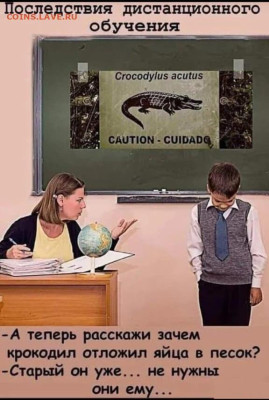Юмор - Крокодил