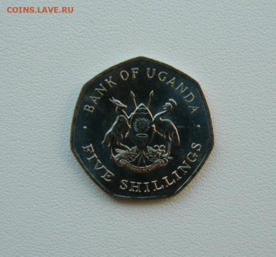 Уганда 5 шиллингов 1987 г. до 07.08.25 - DSCN6488.JPG