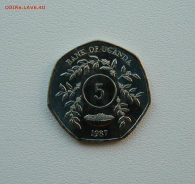 Уганда 5 шиллингов 1987 г. до 07.08.25 - DSCN6487.JPG