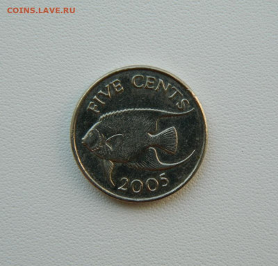 Бермудские острова 5 центов 2005 г. (Фауна)  до 07.08.25 - DSCN6525.JPG
