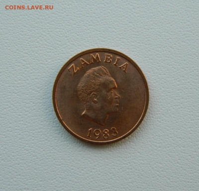 Замбия 1 нгве 1983 г. (Фауна) до 07.08.25 - DSCN6533.JPG