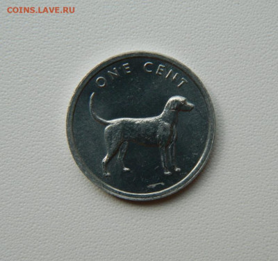 Острова Кука 1 цент 2003 г. (Гончая) до 07.08.25 - DSCN6546.JPG