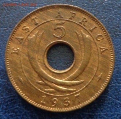 Британская Восточная Африка 5 центов 1937 до 06.08 - DSC00156.JPG
