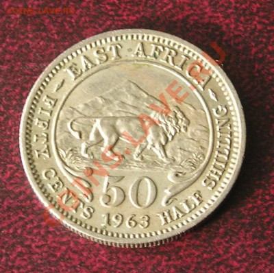 Британская Восточная Африка, Пол Шиллинга 1963 (18.02) - P1010085