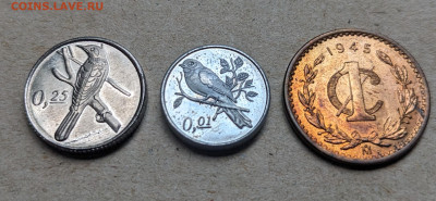 Редонда Мексика ФИКС до 04.08 - PXL_20250803_073727915~2