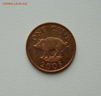 Бермудские острова 1 цент 2008 г. (Фауна) до 08.08.25 - DSCN6633.JPG
