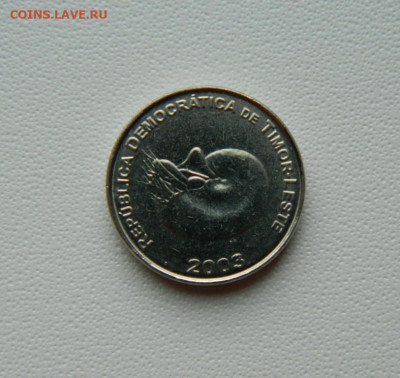 Восточный Тимор 1 сентаво 2003 г. (Фауна) до 08.08.25 - DSCN6632.JPG
