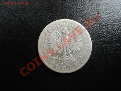 Ag Польша.Ядвига.22.02.12,22-00Мск. - ядвига1