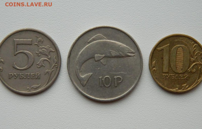 Ирландия 10 пенсов 1976 г. (Фауна) Крупная до 11.08.25 - DSCN6658.JPG