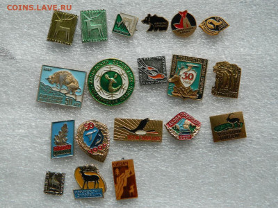 30 руб шт - DSCN0256_thumb