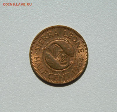 2 цента 1964 г. (Рыбы)  до 16.08.25 - DSCN6832.JPG