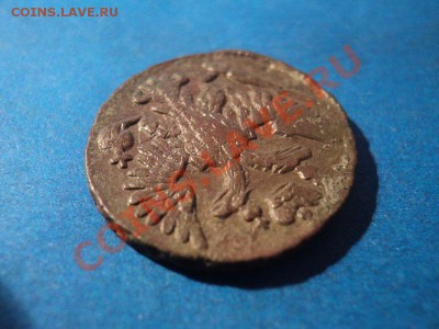 денга 1748 красно-коричневая, оценка и спрос. - DSC02419.JPG