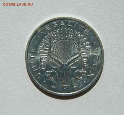 Джибути 5 франков 1991 г. (Фауна) Крупная! до 16.08.25 - DSCN6847.JPG