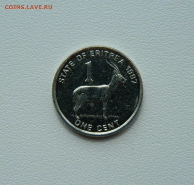 Эритрея 1 цент 1997 г. (Фауна) до 16.08.25 - DSCN6910.JPG