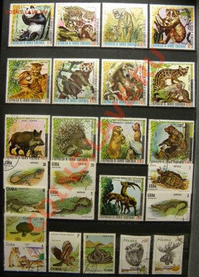 Меняю марки или продаю - DSCN7019.JPG