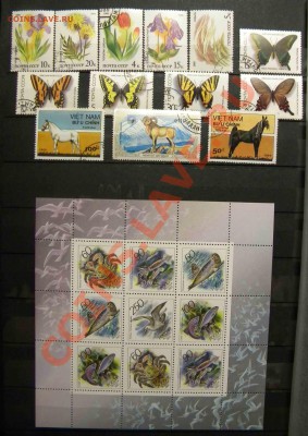 Меняю марки или продаю - DSCN7017.JPG
