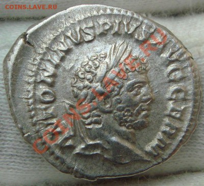 CARACALLA денарий до 18.02.12 в 22.00 по Москве - DSC06827.JPG