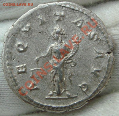 SEVERUS ALEXANDER денарий до 18.02.12 в 22.00 по Москве - DSC06826.JPG