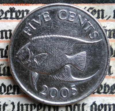 Бермуды 5 центов 2005 года до 18.08.2025 - IMG_20250813_010608
