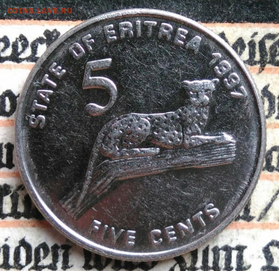 Эритрея 5 центов 1997 года до 18.08.2025 - IMG_20250813_011914