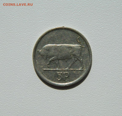 Ирландия 5 пенсов 1993 г. (Фауна) до 19.08.25 - DSCN6839.JPG