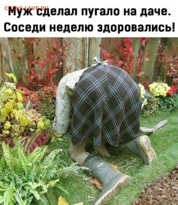Ассоциация слов. - c20d6ae1979ee0520b84b8a9c0ec9c10