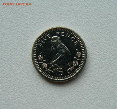 Гибралтар 5 пенсов 2003 г. (Фауна) до 21.08.25 - DSCN7072.JPG