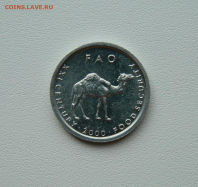 Сомали 10 шиллингов 2000 г. (Фауна) ФАО до 21.08.25 - DSCN7066.JPG