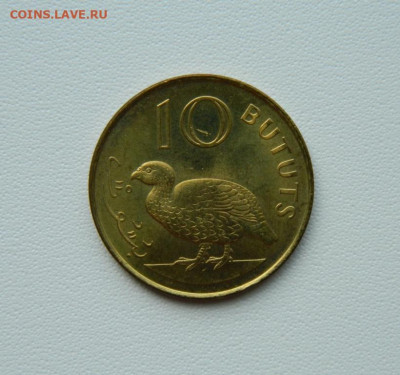 Гамбия 10 бутут 1998 г. (Фауна) до 21.08.25 - DSCN7051.JPG