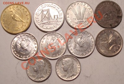 Много монет на оценку для голландской продажи - DSC03756.JPG