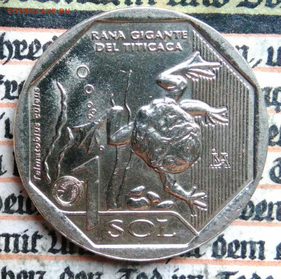 Перу 1 соль 2019 года лягушка до 18.08.2025 - IMG_20250815_012129