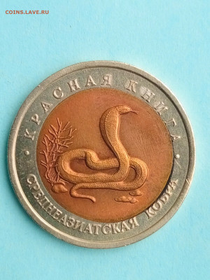 КК 10 рублей 1992 год Среднеазиатская кобра двойная вырубка - IMG_20250817_102306_542
