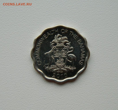 Багамские острова 10 центов 2010 г. (Фауна) до 23.08.25 - DSCN7015.JPG